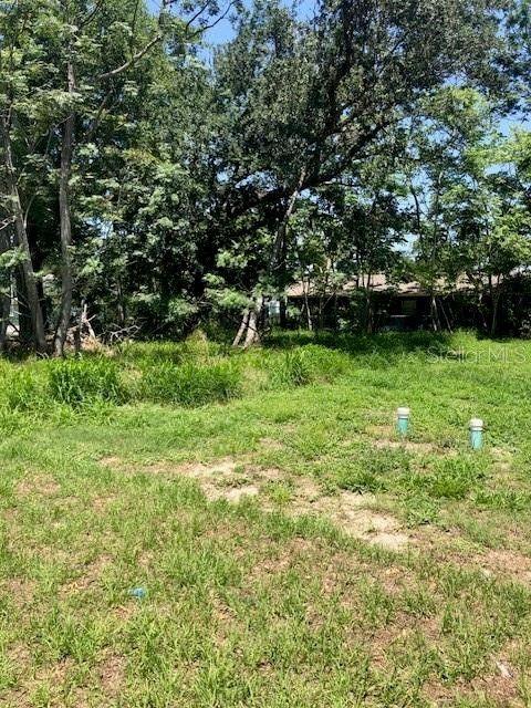 Oakland, Orange County, FL Undeveloped Land, Homesites for sale Property ID: 416390728