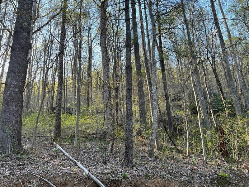 TBD BRIAR ROCK TRAIL, Fancy Gap, VA 24328 Land For Sale  MLS# 88780