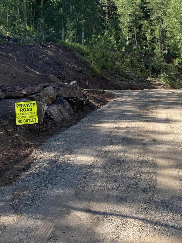 202 South Commercial Street, Rico, CO 81332 for Sale