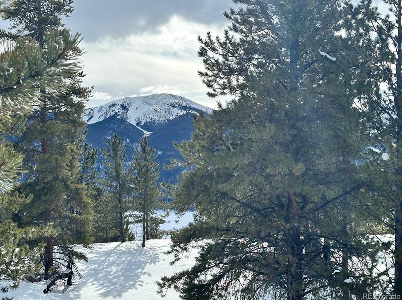 142 La Plata Peak Dr, Twin Lakes, CO 81251 - MLS 5208581 for Sale