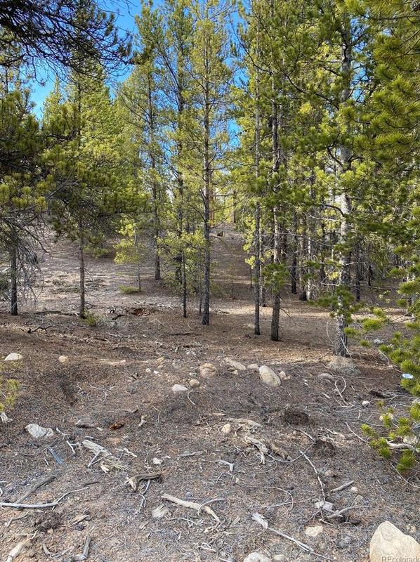 267 Birch Dr, Twin Lakes, CO 81251 - MLS 1712178 for Sale