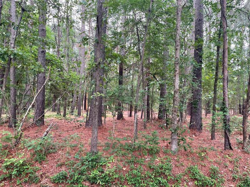 20312 County Road 4106 Lot 13, Lindale, TX 75771 for Sale
