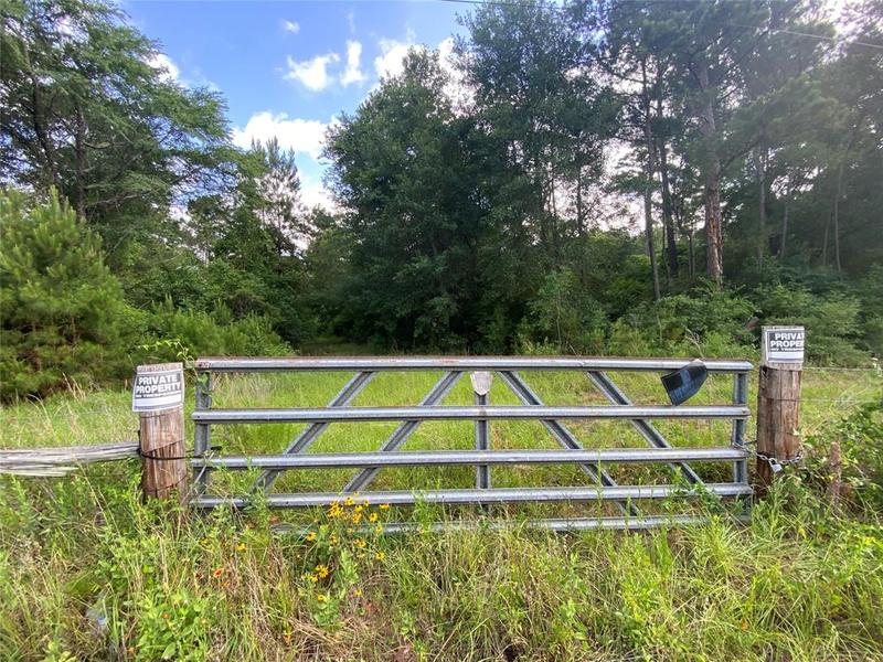 42 Reids Prairie Road, Waller, TX 77484 for Sale