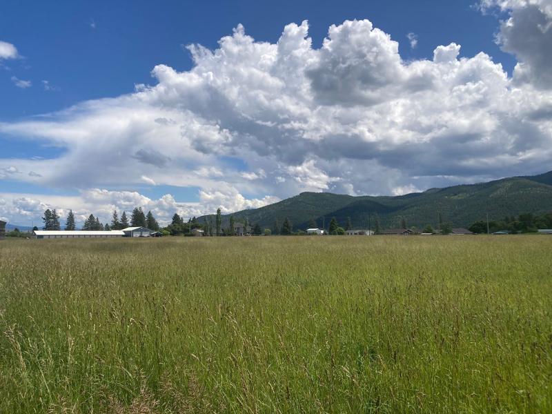 Huson, Missoula County, MT Undeveloped Land, Homesites for sale Property ID: 416048681