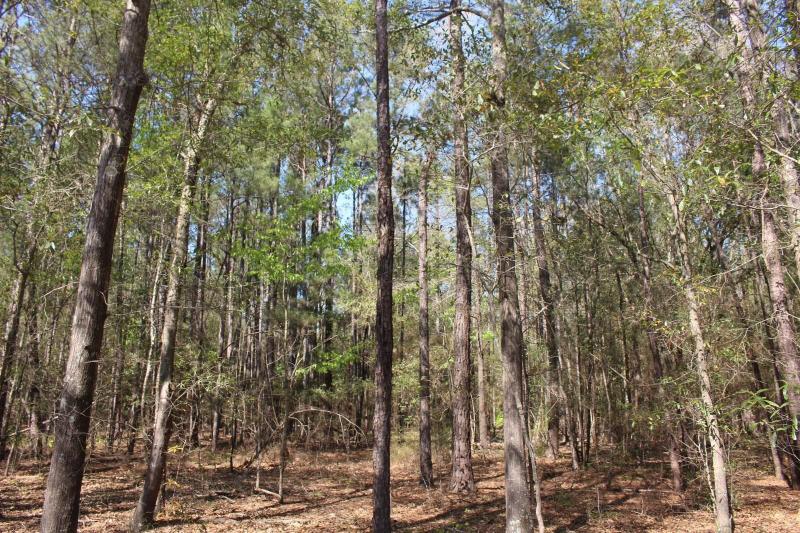 Hephzibah, Burke County, GA Undeveloped Land, Homesites for sale Property ID: 418762647