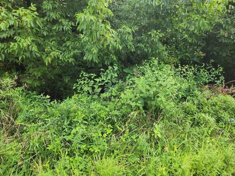 Wheeling, Marshall County, WV Undeveloped Land, Homesites for sale Property ID: 417084469