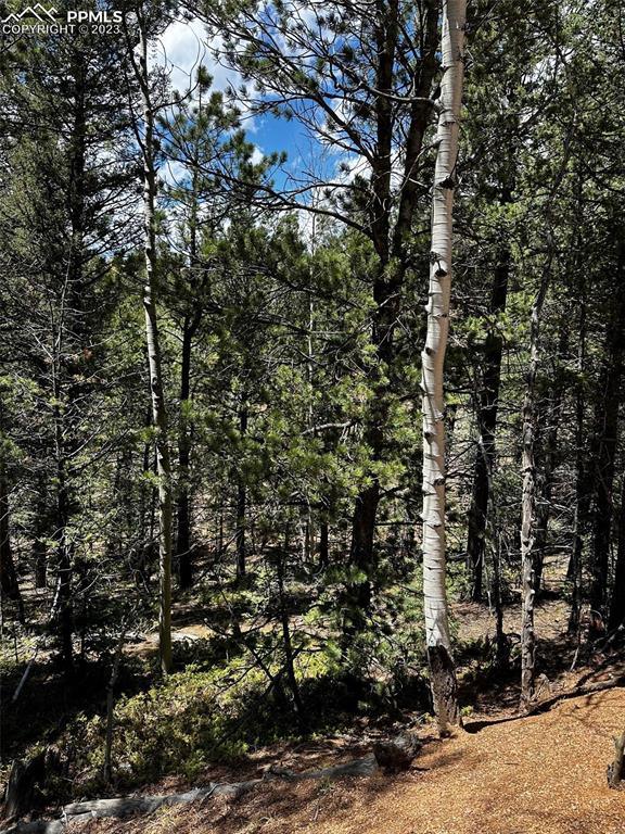 703 Horseshoe Drive, Divide, CO 80814 for Sale