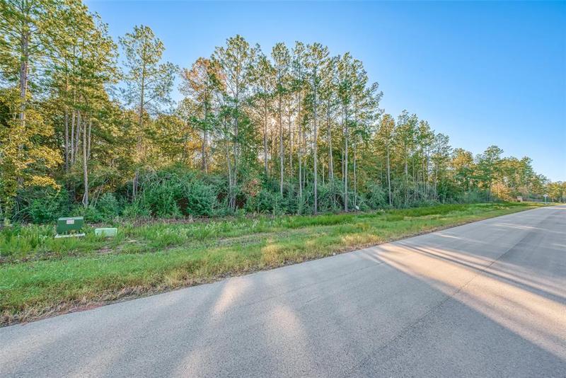 15660 Fire Sky Rd, Willis, TX 77378 for Sale