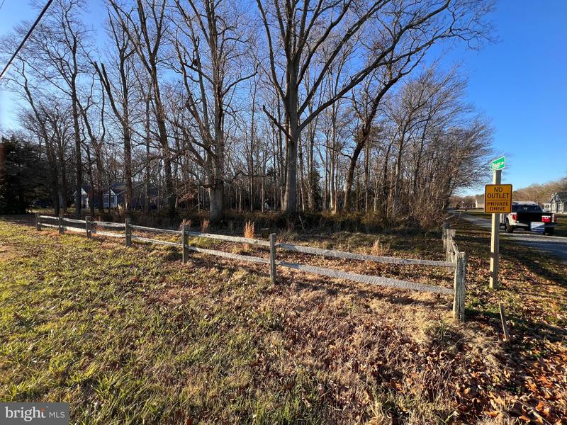 Lot 1 North Piney Neck Road, Dagsboro, DE 19939 for Sale