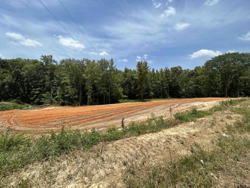 0 C R 334, Tyler, TX 75708 Land For Sale  MLS# 24000830