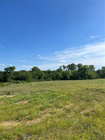 LOT 69 KILKENNY RD, Poolville, TX 76487 Land For Sale  MLS# 20514978