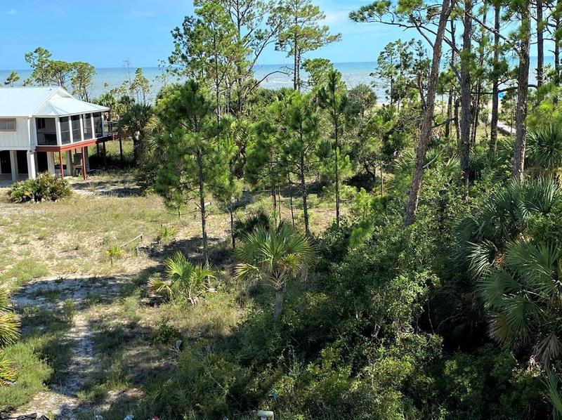Lot 19 Red Hawk Ln, Port Saint Joe, FL 32456 - MLS 314657 for Sale
