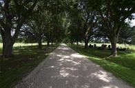 1202 FM 359 Rd, Richmond, TX 77406 for Sale