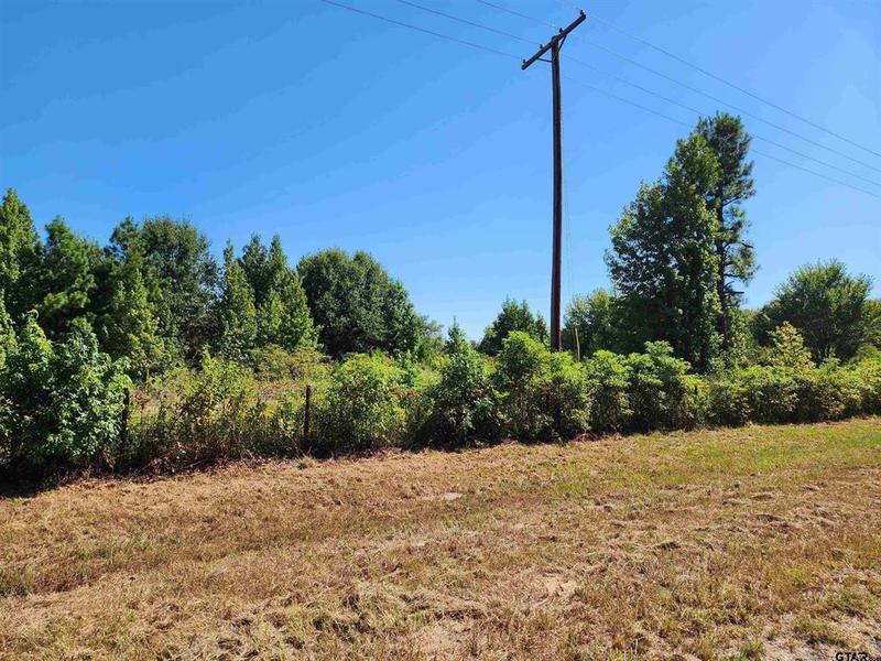 TBD CR 2790, Mineola, TX 75773 for Sale