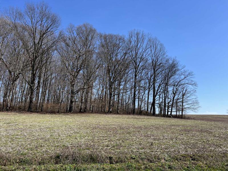 Tract 1 Elrod Road, Somerset, KY 42503  628471421 for Sale