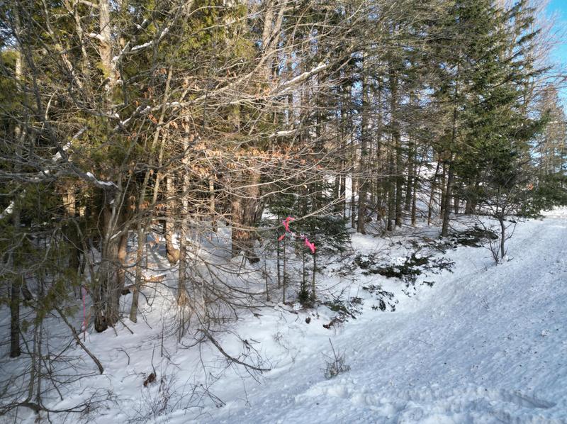 20 Lee Rd, Lee, ME 04455 - MLS 1580941 for Sale