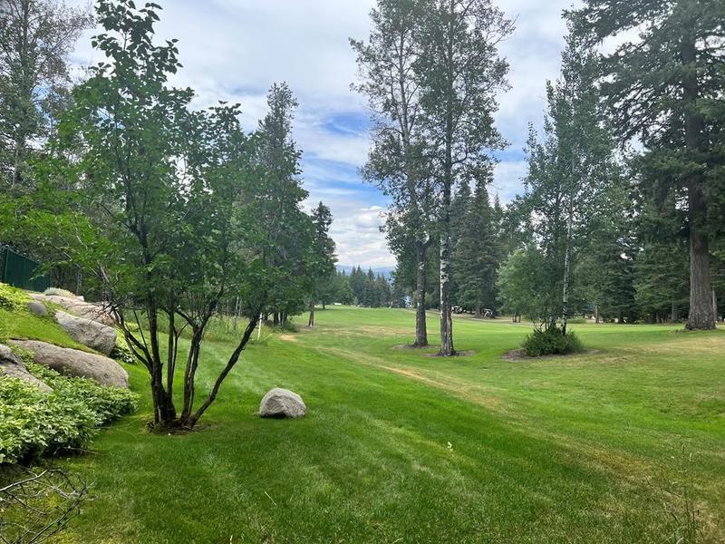 Tbd Divot Lane, Unit 7, Mc Call, ID 83638 for Sale