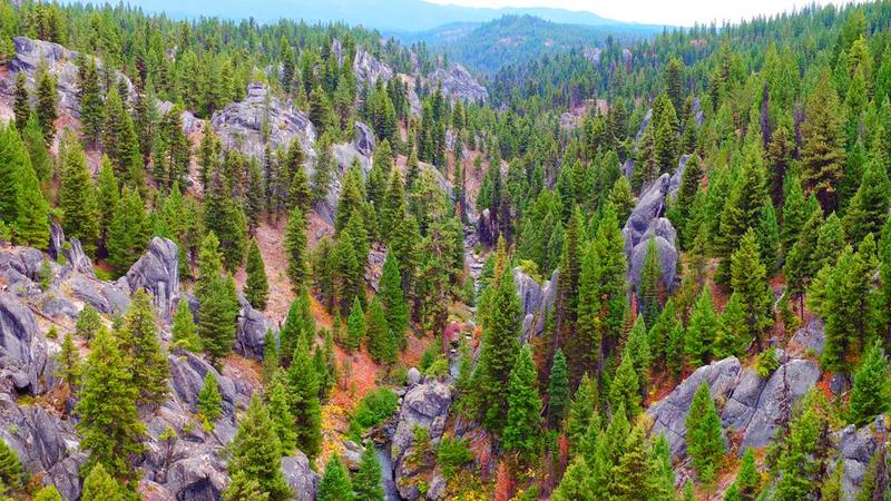 Tbd Warm Lake Road, Cascade, ID 83611 for Sale