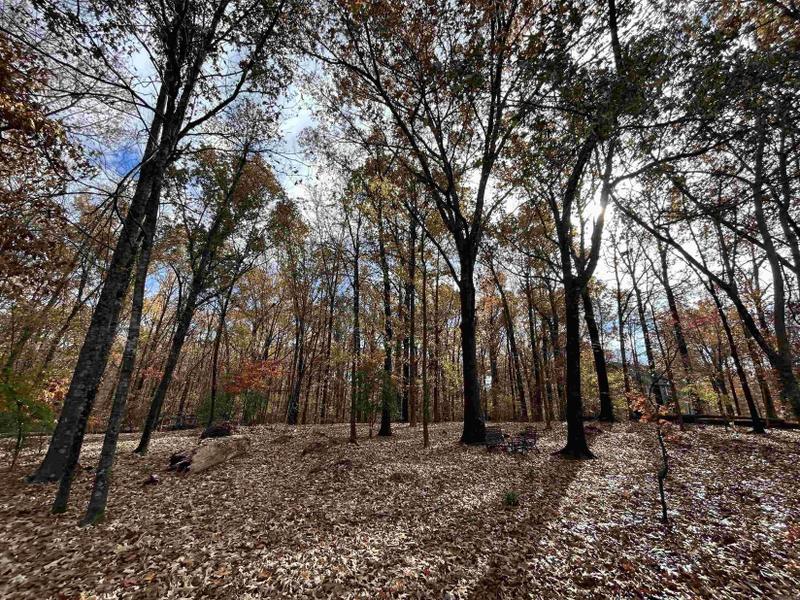 Forrest City, Saint Francis County, AR Undeveloped Land, Homesites for sale Property ID: 418480847
