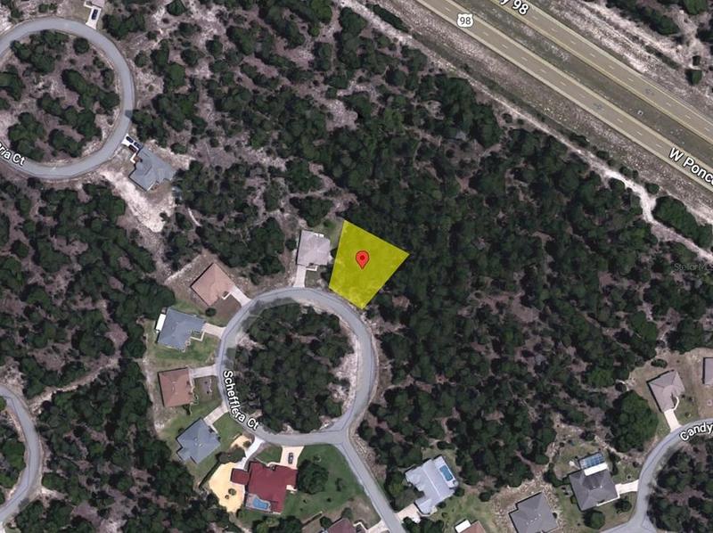 12 Schefflera Ct, Homosassa, FL 34446 - MLS O6108577 for Sale