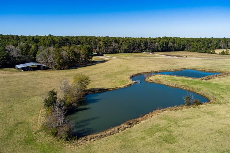 349 B Lee Rd, Groveton, TX 75845 for Sale