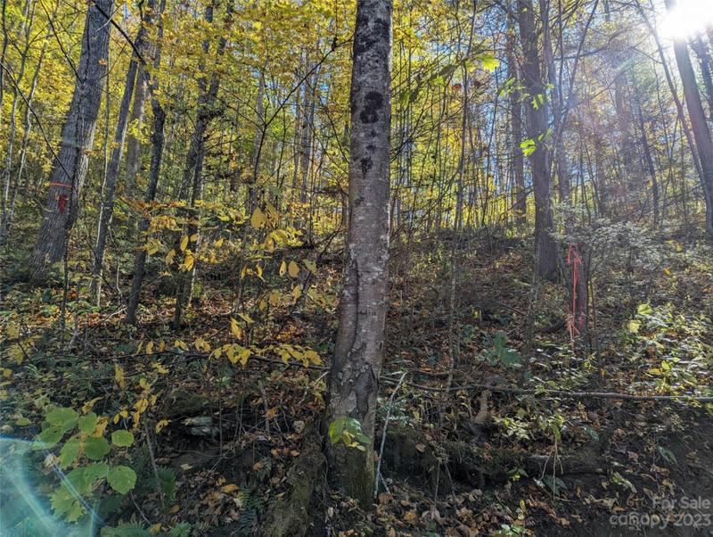 00TB WHITE OAK ROAD, Waynesville, NC 28785 Land For Sale  MLS# 4085400