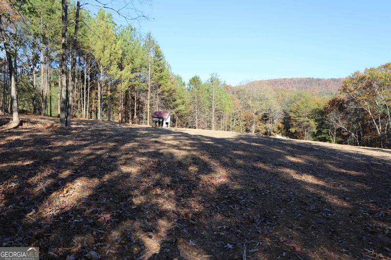 601 Spring Creek Road, Trion, GA 30753 for Sale