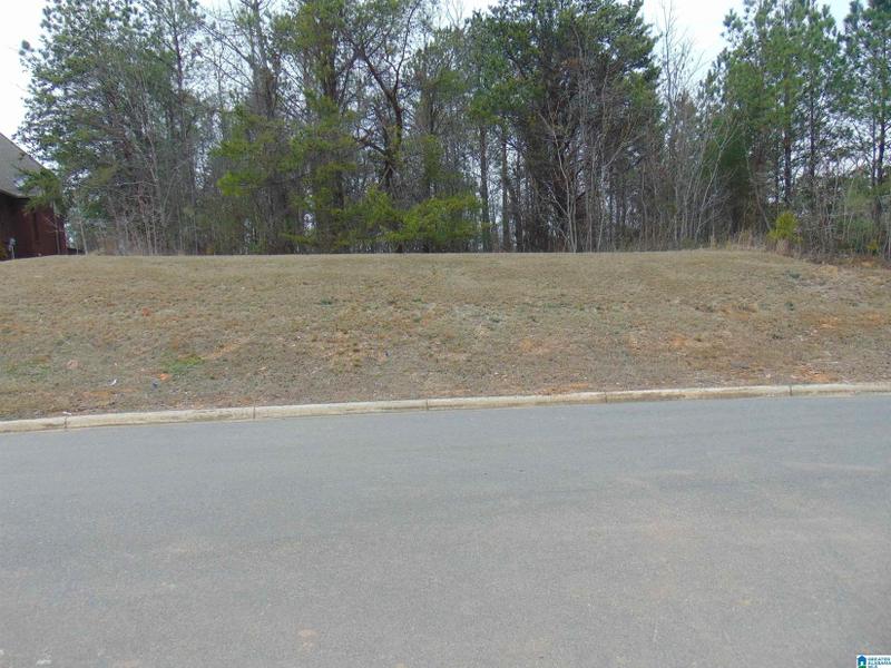 Birmingham, Jefferson County, AL Undeveloped Land, Homesites for sale Property ID: 418929039
