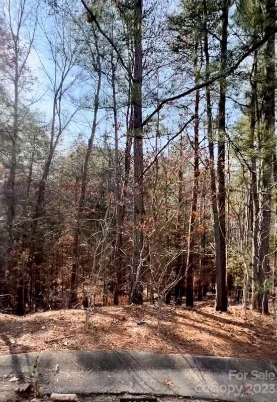 Tega Cay, York County, SC Undeveloped Land, Homesites for sale Property ID: 418666166