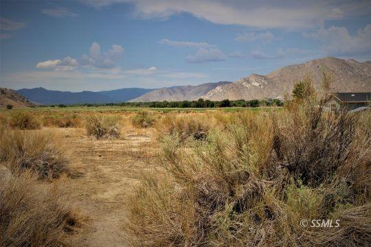 Onyx, Kern County, CA Undeveloped Land, Homesites for sale Property ID: 411146064