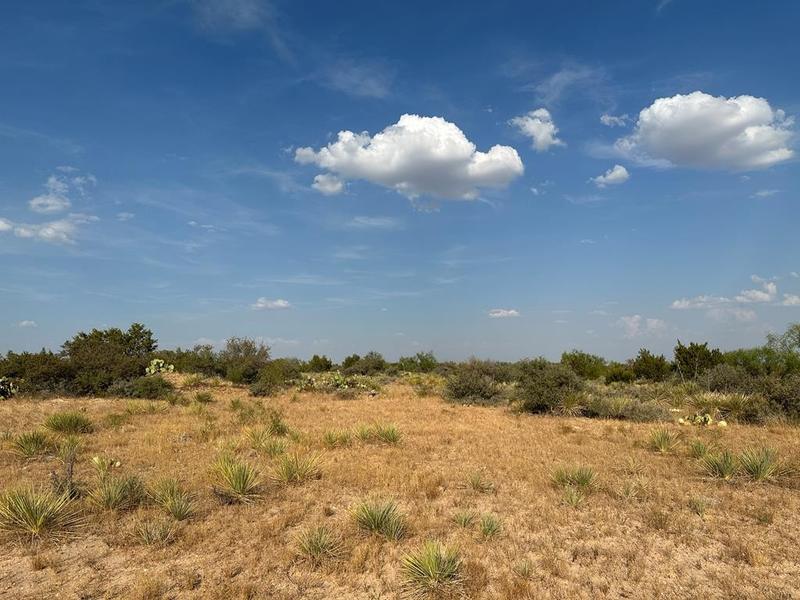 Tract 8 Grape Creek Rd, San Angelo, TX 76901 for Sale