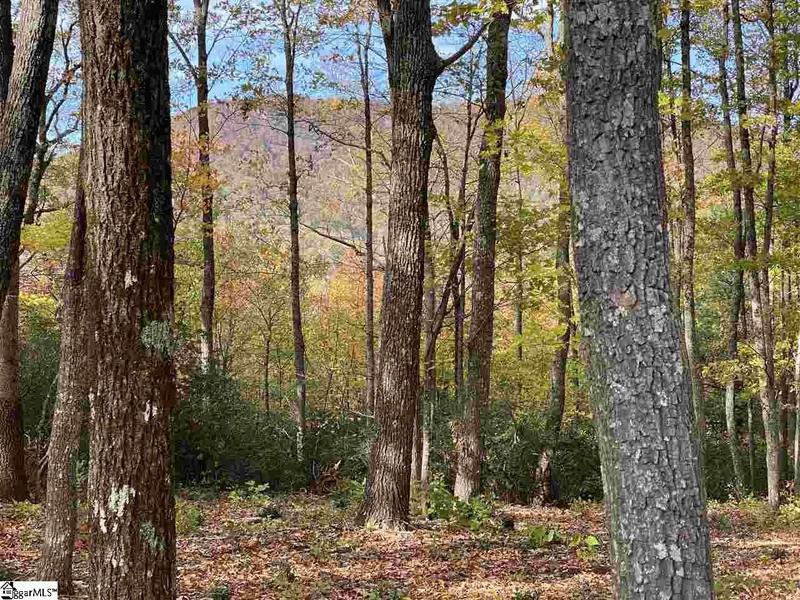 Travelers Rest, Greenville County, SC Undeveloped Land for sale Property ID: 336805664