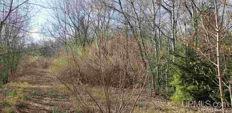Ontonagon, Ontonagon County, MI Undeveloped Land for sale Property ID: 413584598