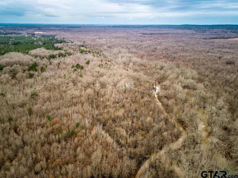 350 AC CR 1322, Reklaw, TX 75784 Land For Sale  MLS# 24002327