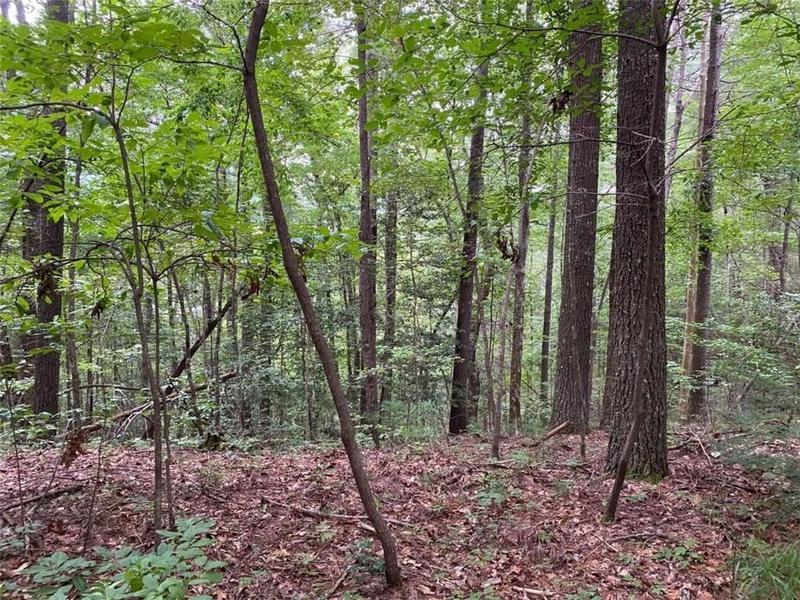 Ellijay, Gilmer County, GA Undeveloped Land, Homesites for sale Property ID: 418643732