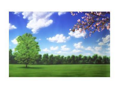 Carnegie Rd for Sale