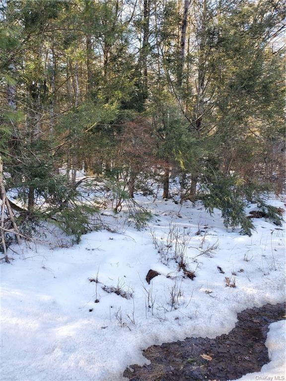 Wawarsing, Ulster County, NY Undeveloped Land for sale Property ID: 415996301