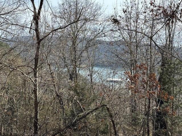 Eureka Springs, Carroll County, AR Undeveloped Land, Homesites for sale Property ID: 419022325