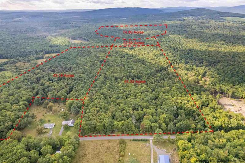 TBD BROWN ROAD, Ellenville, NY 12428 Land For Sale  MLS# 20223030