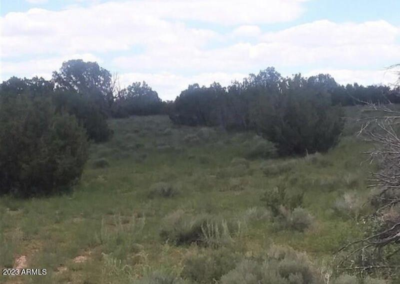 St Johns, Apache County, AZ Undeveloped Land for sale Property ID: 418428695