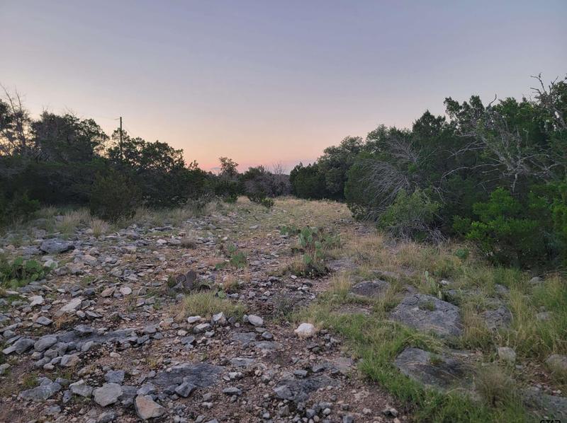 Lot 44 Deer Park, Rocksprings, TX 78880 - MLS 23009322 for Sale