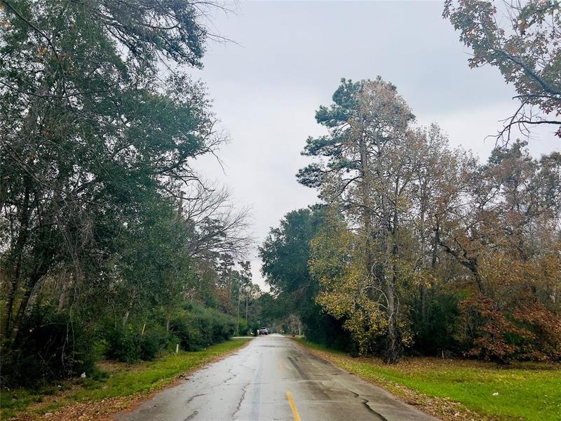 TBD Fenham Lot 7 Ln, Humble, TX 77338 for Sale