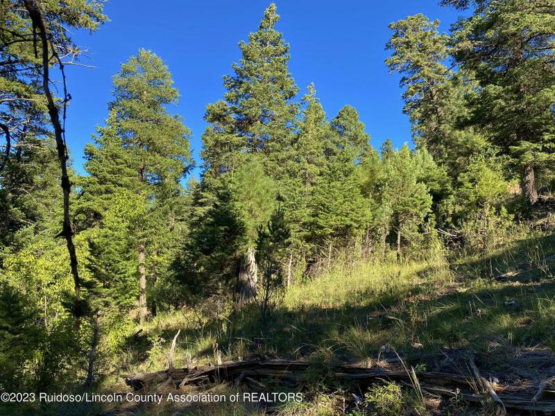 Ruidoso, Lincoln County, NM Undeveloped Land, Homesites for sale Property ID: 417701374