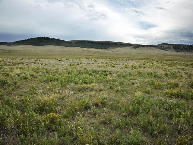 Colorado Land for Sale, 4.33 Acres, Pastoral Setting