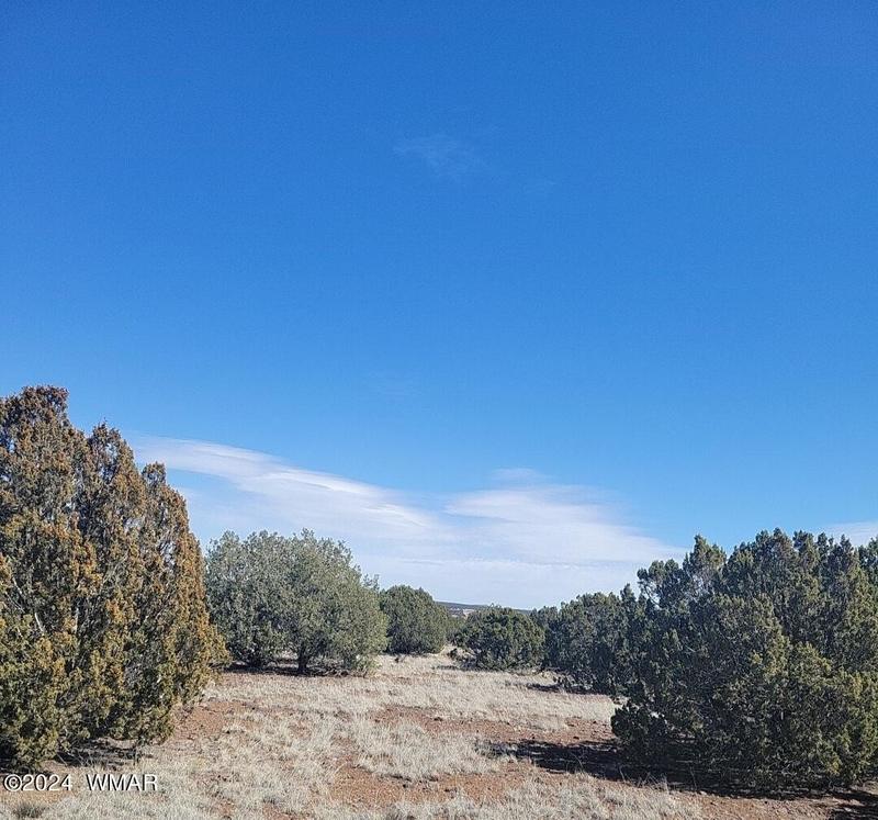 Show Low, Stunning 2.04 acre horse property in the White for Sale