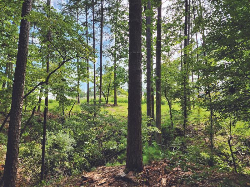 Greensboro, Golf Course Lot,69 Acres , Cul-de-Sac for Sale