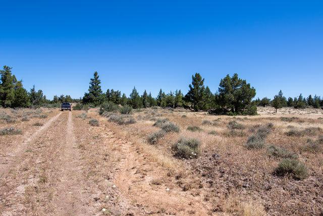 1.47 Ac N. California Land for Sale, Pines, Quiet