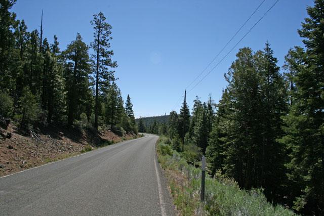 Northern California Forest Land.92 Acres for Sale