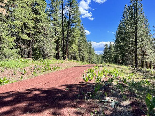 N. California Land for Sale, 0.92 acres, near Alturas