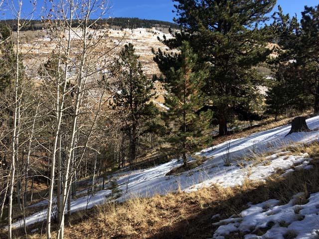 Colorado Land 1.54 Acres, Views w/ Scattered Pines for Sale